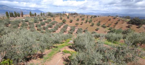 Terreno en calle San Román