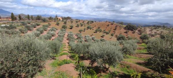 Terreno en calle San Román