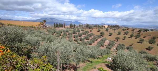 Terreno en calle San Román