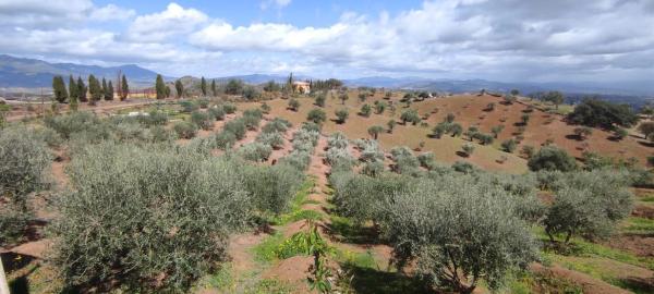 Terreno en calle San Román