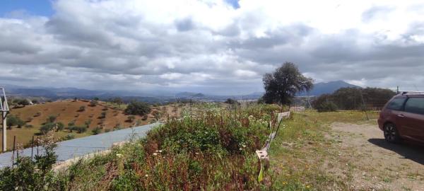 Terreno en calle San Román