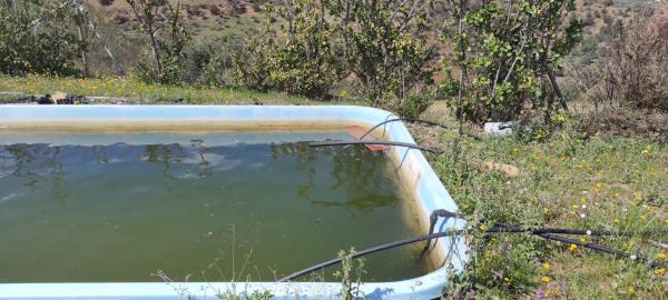 Terreno en calle San Román