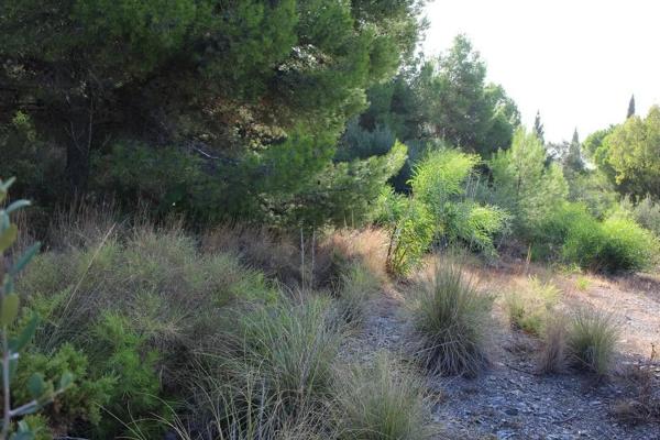 Terreno en Valtocado - La Alquería - La Atalaya