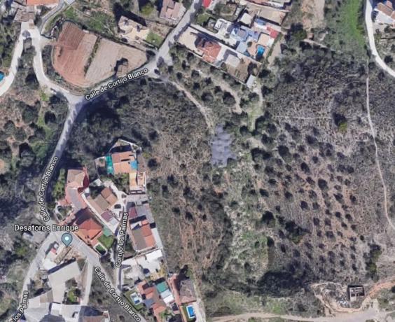 Terreno en calle Cortijo los Palmas, 11