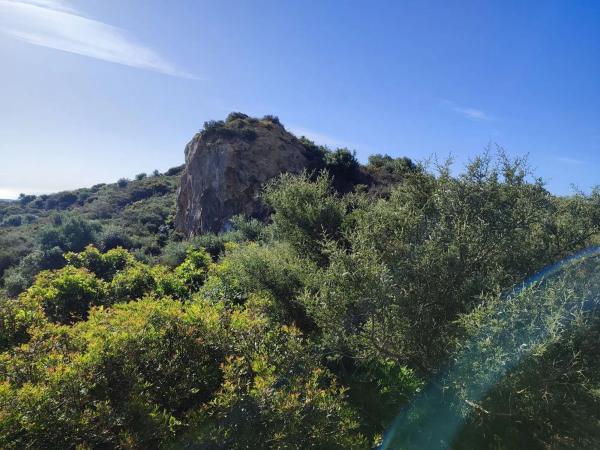 Terreno en calle Flaminio