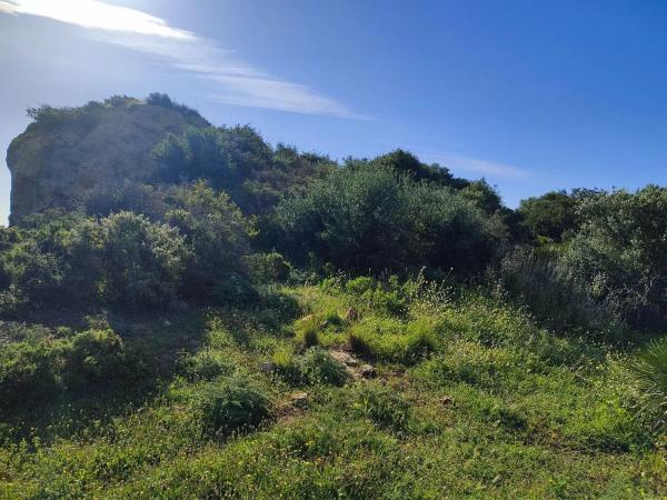 Terreno en calle Flaminio