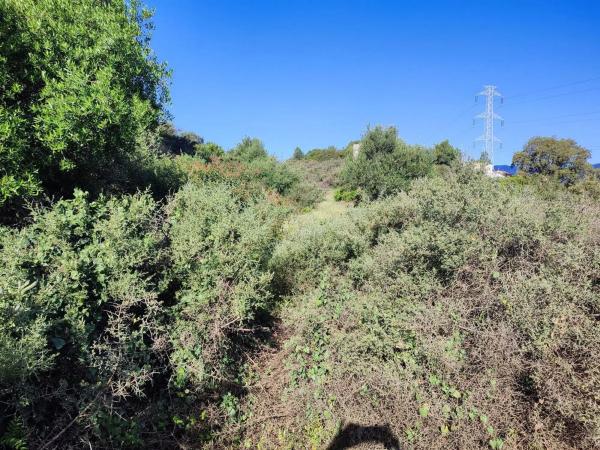 Terreno en calle Flaminio