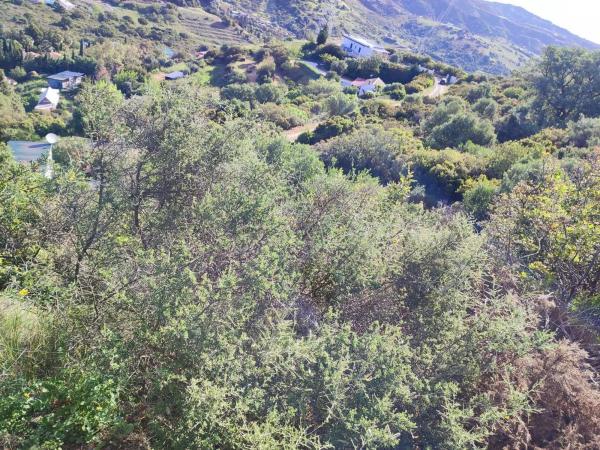 Terreno en calle Flaminio