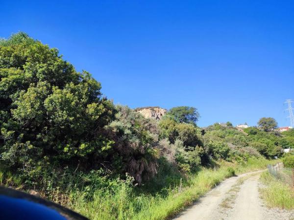 Terreno en calle Flaminio