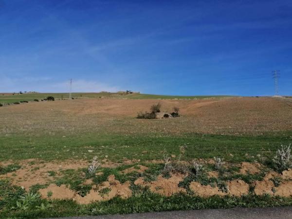 Terreno en calle Sevílla, 1