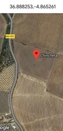 Terreno en calle Sevílla, 1