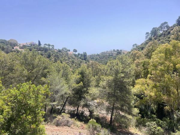 Terreno en El Madroñal