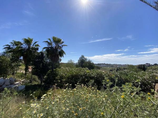 Terreno en Urbanizacion el Paraiso, 246