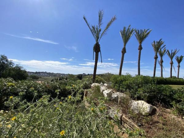 Terreno en Urbanizacion el Paraiso, 246
