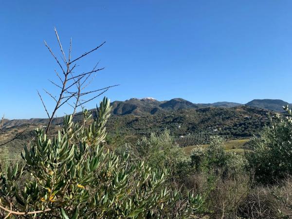 Terreno en Arroyo de pipi s/n