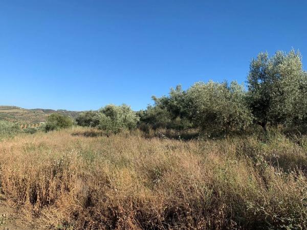 Terreno en Arroyo de pipi s/n