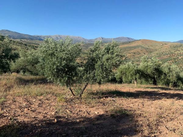 Terreno en Arroyo de pipi s/n