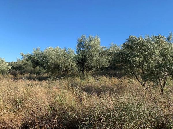 Terreno en Arroyo de pipi s/n