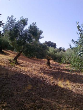 Terreno en A-369, 369 a