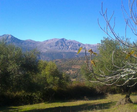 Terreno en A-369, 369 a