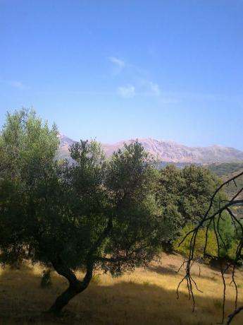 Terreno en A-369, 369 a