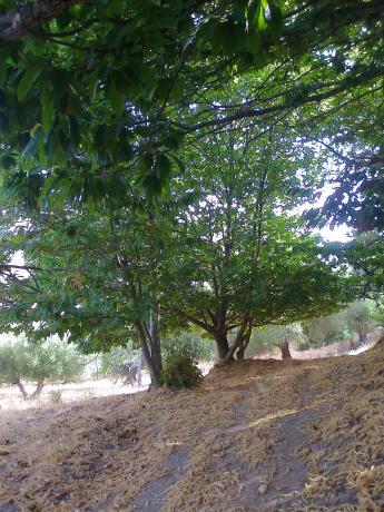 Terreno en A-369, 369 a