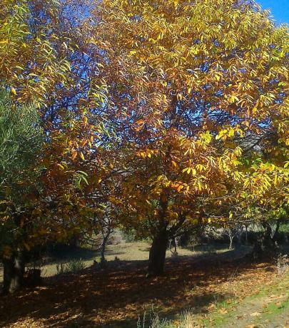 Terreno en A-369, 369 a