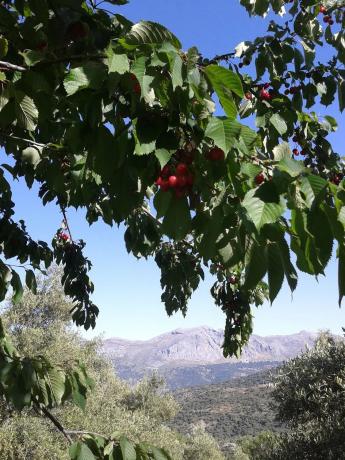 Terreno en A-369, 369 a