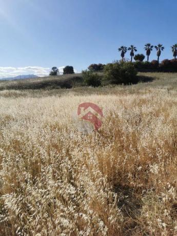 Terreno en El Cigarral - Dehesa - Borrajo