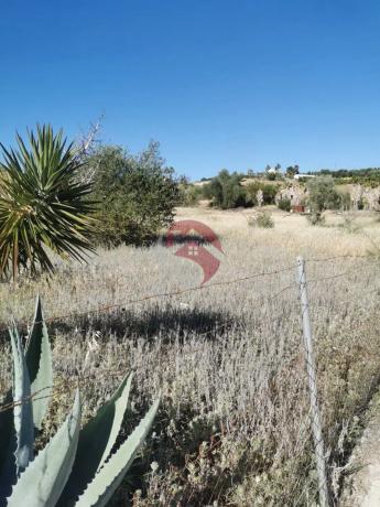 Terreno en El Cigarral - Dehesa - Borrajo