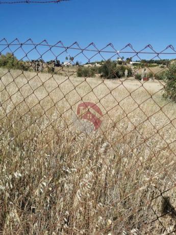 Terreno en El Cigarral - Dehesa - Borrajo