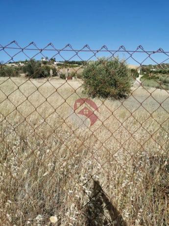 Terreno en El Cigarral - Dehesa - Borrajo