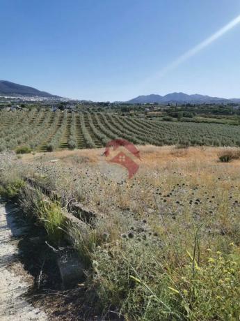 Terreno en El Cigarral - Dehesa - Borrajo