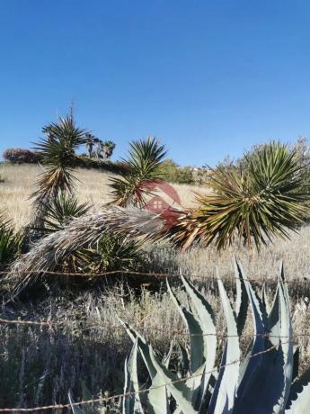 Terreno en El Cigarral - Dehesa - Borrajo