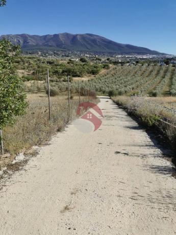 Terreno en El Cigarral - Dehesa - Borrajo