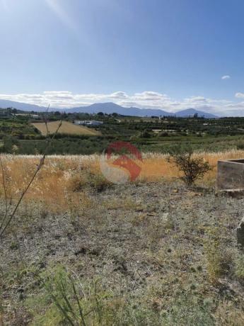 Terreno en El Cigarral - Dehesa - Borrajo