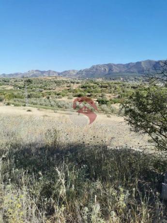 Terreno en El Cigarral - Dehesa - Borrajo