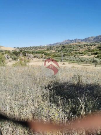 Terreno en El Cigarral - Dehesa - Borrajo
