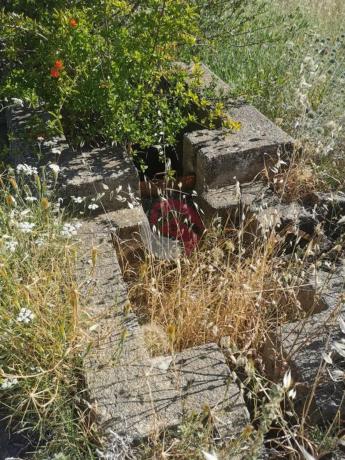 Terreno en El Cigarral - Dehesa - Borrajo