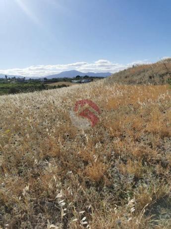 Terreno en El Cigarral - Dehesa - Borrajo