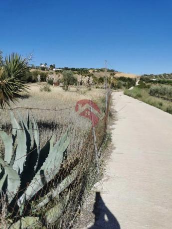 Terreno en El Cigarral - Dehesa - Borrajo