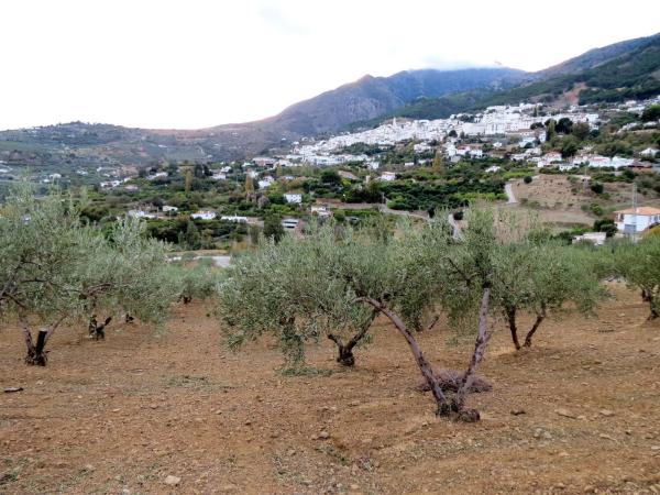Terreno en camino De Casarabonela a Alora