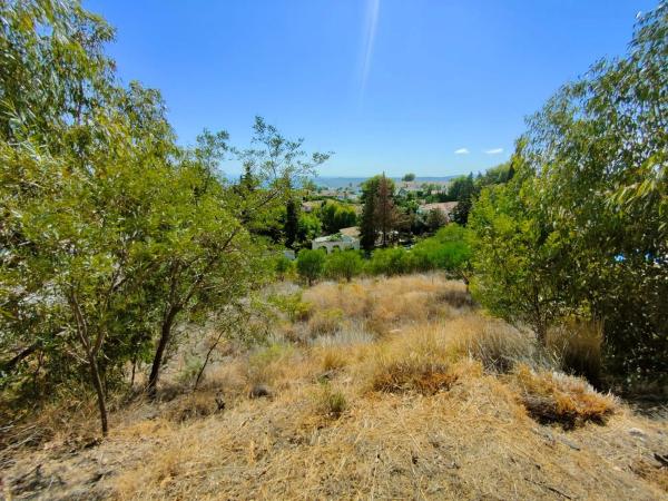 Terreno en calle Pamplona s/n