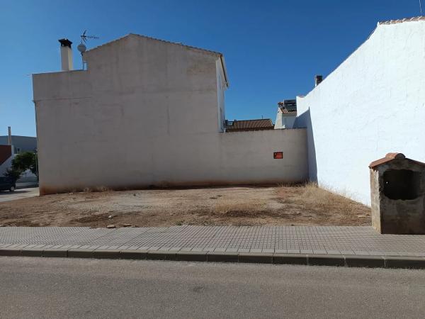 Terreno en calle Ficus, 2