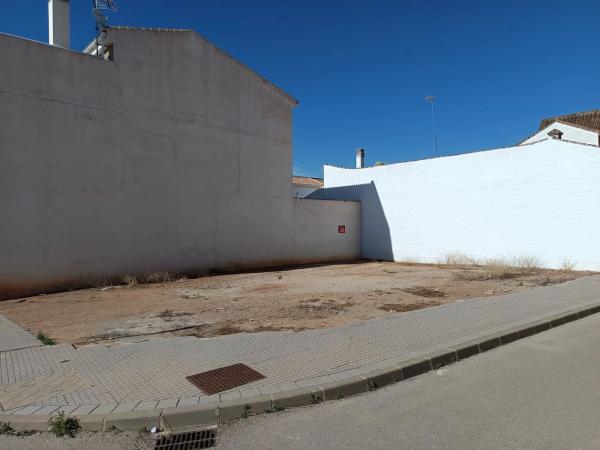 Terreno en calle Ficus, 2