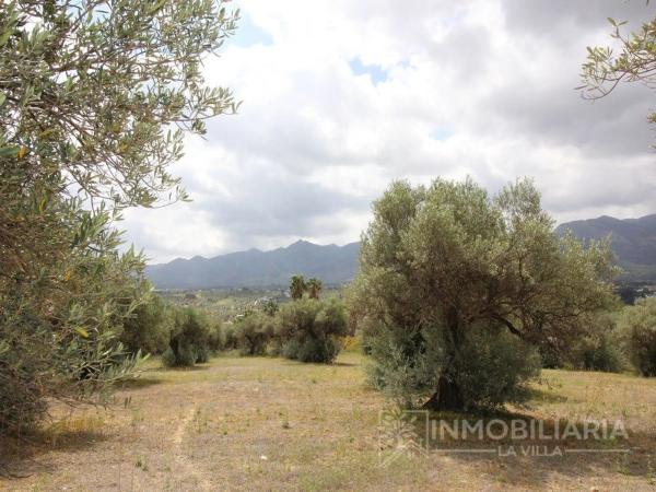 Terreno en Ardelejos - Cuesta de la Palma - Buenavista