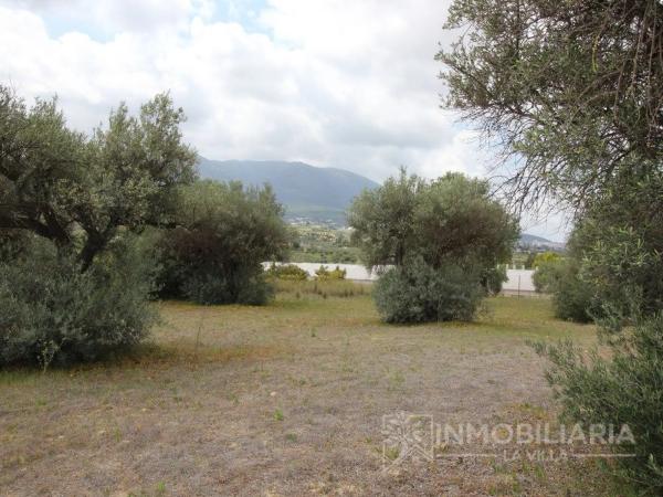 Terreno en Ardelejos - Cuesta de la Palma - Buenavista