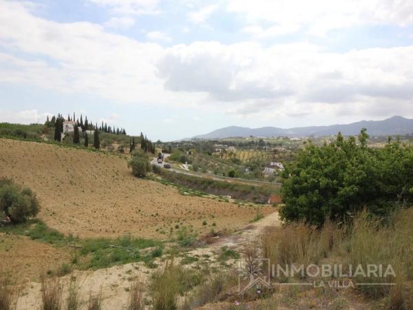 Terreno en Ardelejos - Cuesta de la Palma - Buenavista