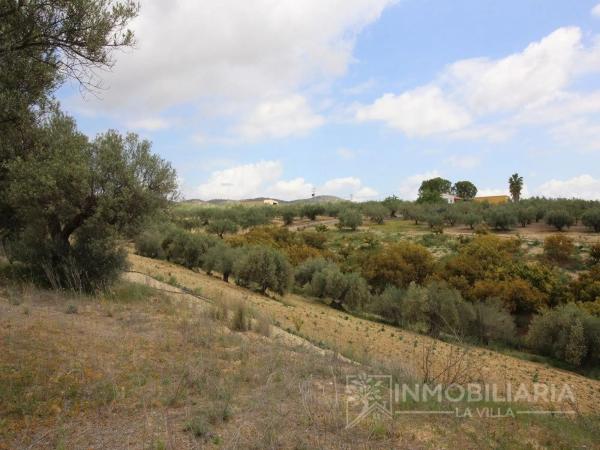Terreno en Ardelejos - Cuesta de la Palma - Buenavista