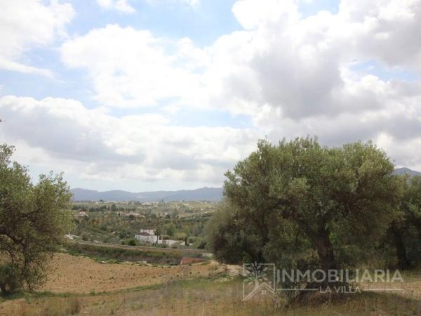 Terreno en Ardelejos - Cuesta de la Palma - Buenavista